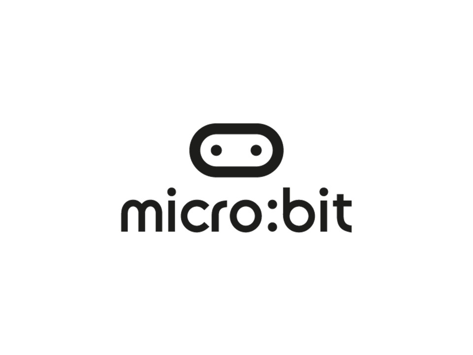 Chair, Micro:bit Educational Foundation (XBYVA)